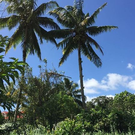 Logement En Pleine Verdure Tropicale -10 Min Plage Le Morne-Rouge Exterior photo
